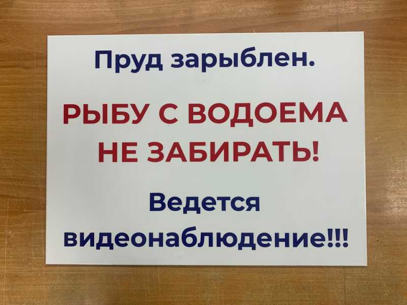Табличка "Рыбу не забирать"